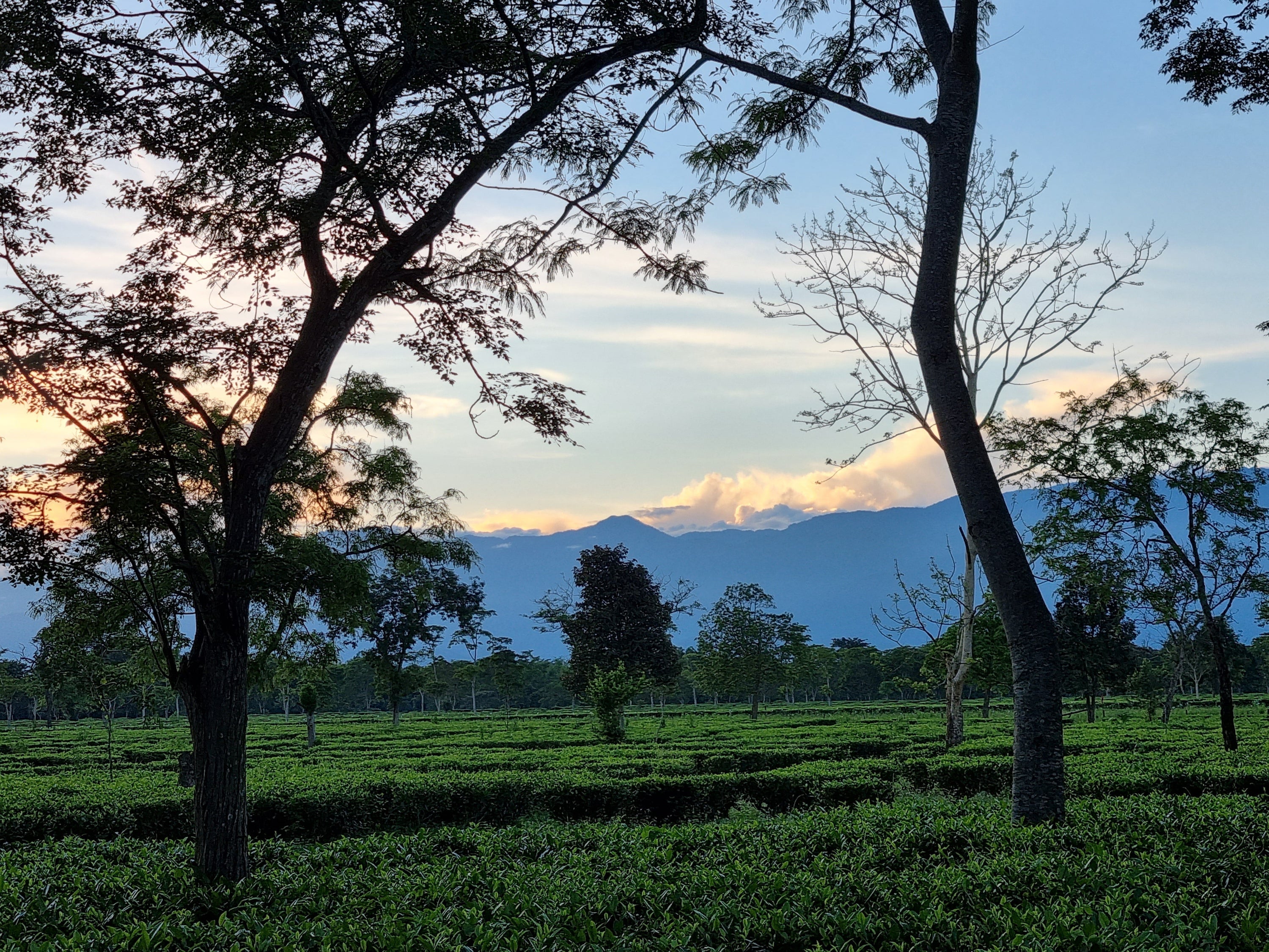 Indian Countryside