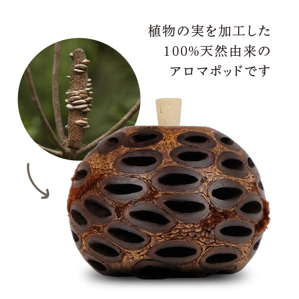 バンクシア アロマポット Sサイズ