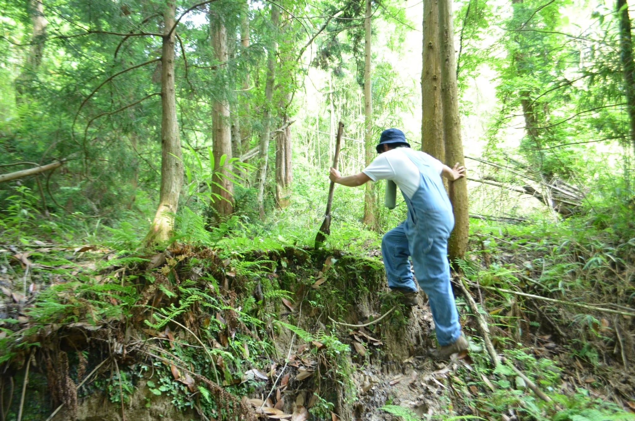 コズミックリチュアルセット2025 西山光太コラボ