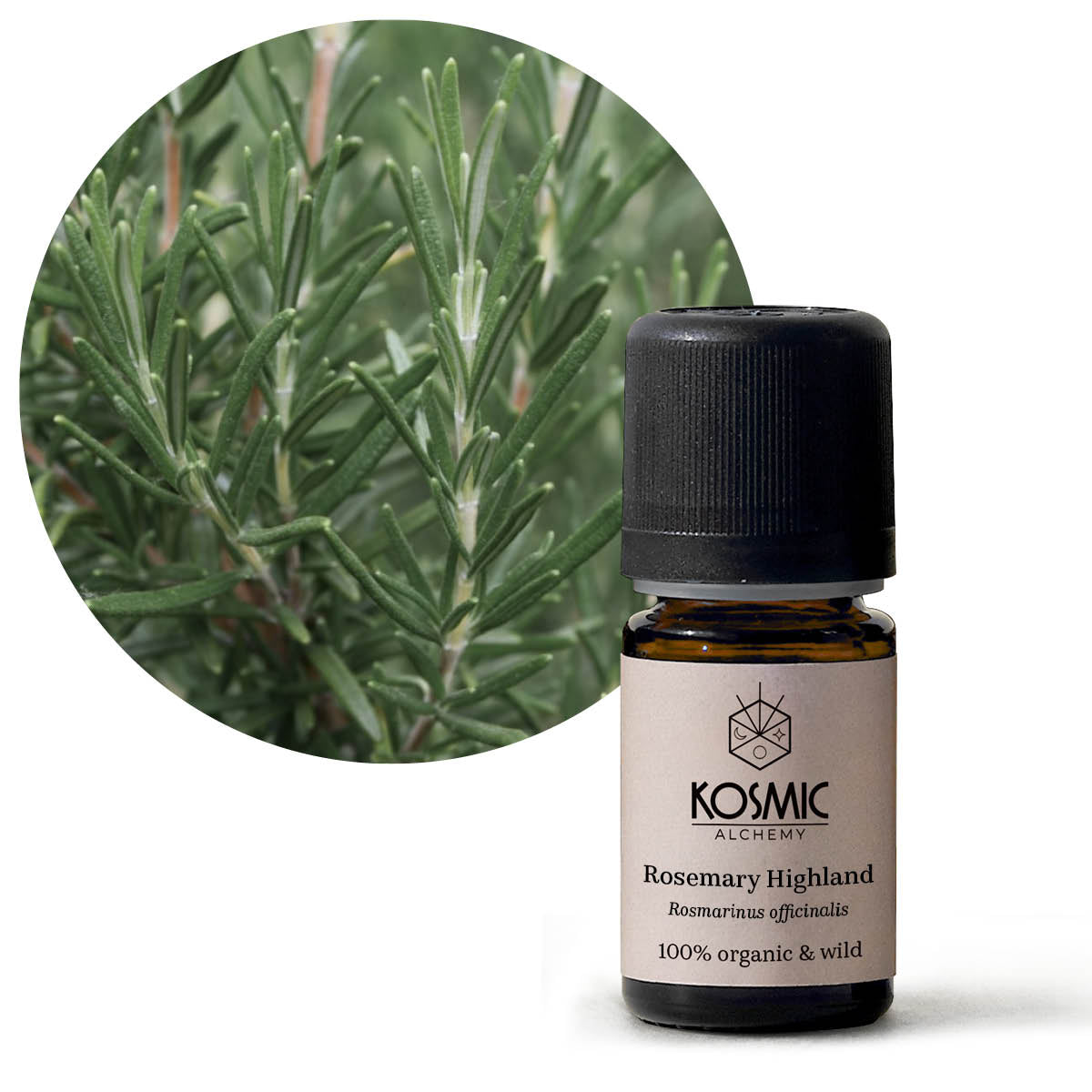 Essential Oil - Lavender Maillet