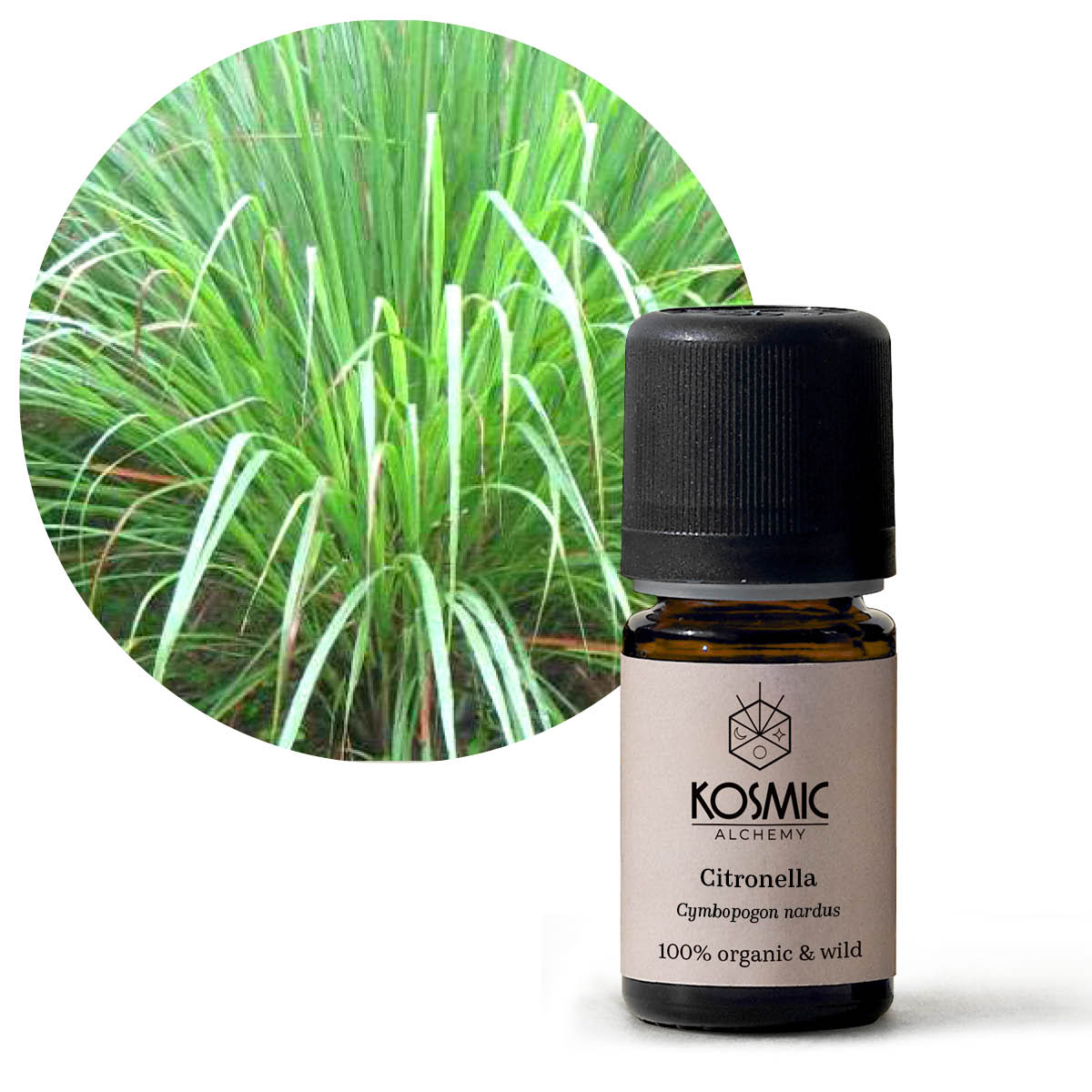 Essential Oil - Lavender Maillet