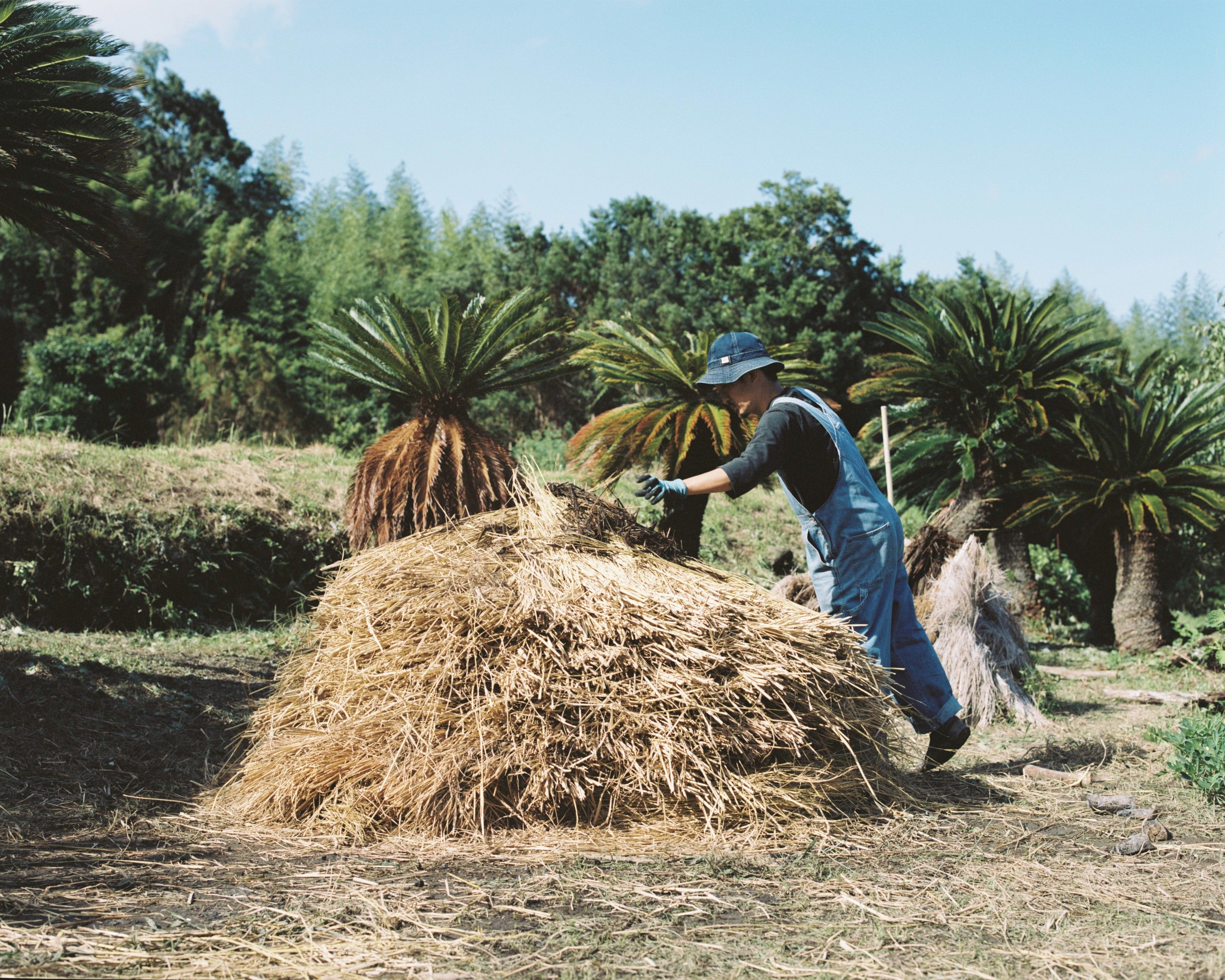 コズミックリチュアルセット2025 西山光太コラボ