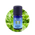 バジル 〈app. 85% メチルカビコール〉 オーガニック エッセンシャルオイル - Basil (app. 85% Methyl chavicol) organic Oshadhi - オシャディ