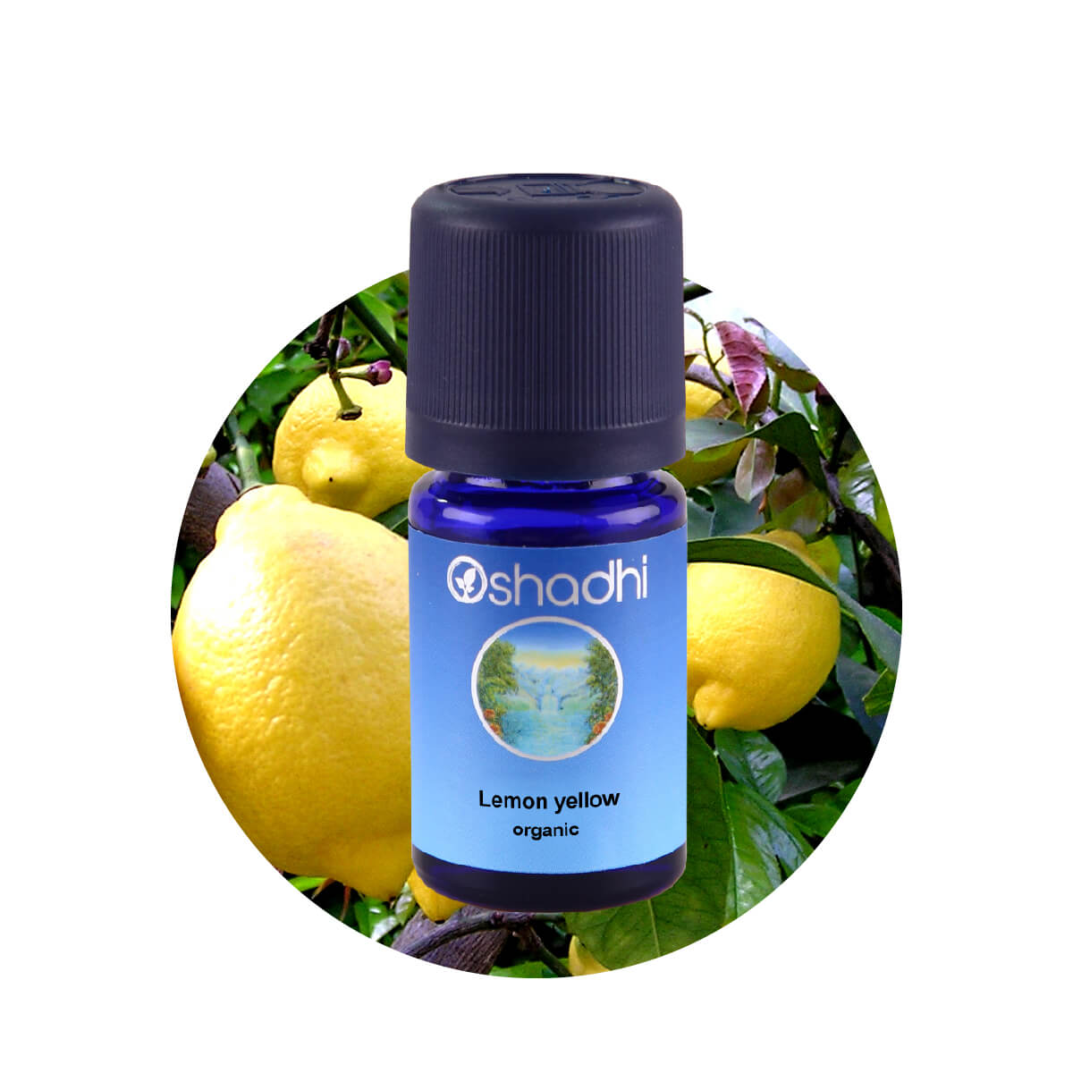 レモン イエロー オーガニック エッセンシャルオイル - Lemon yellow organic Oshadhi - オシャディ