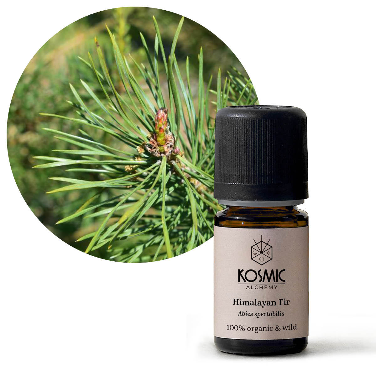 Essential Oils – Kosmic Market