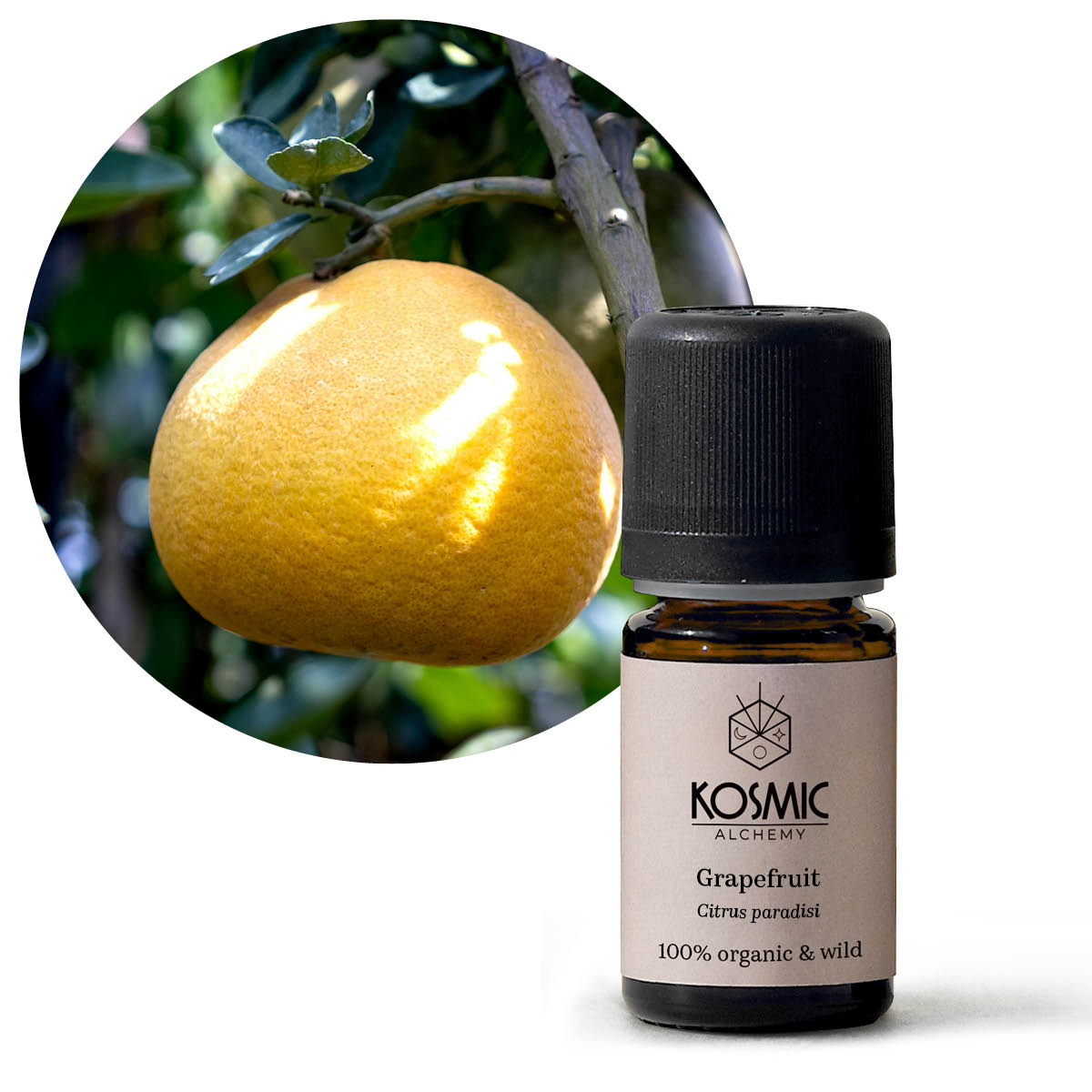 Essential Oils – Kosmic Market