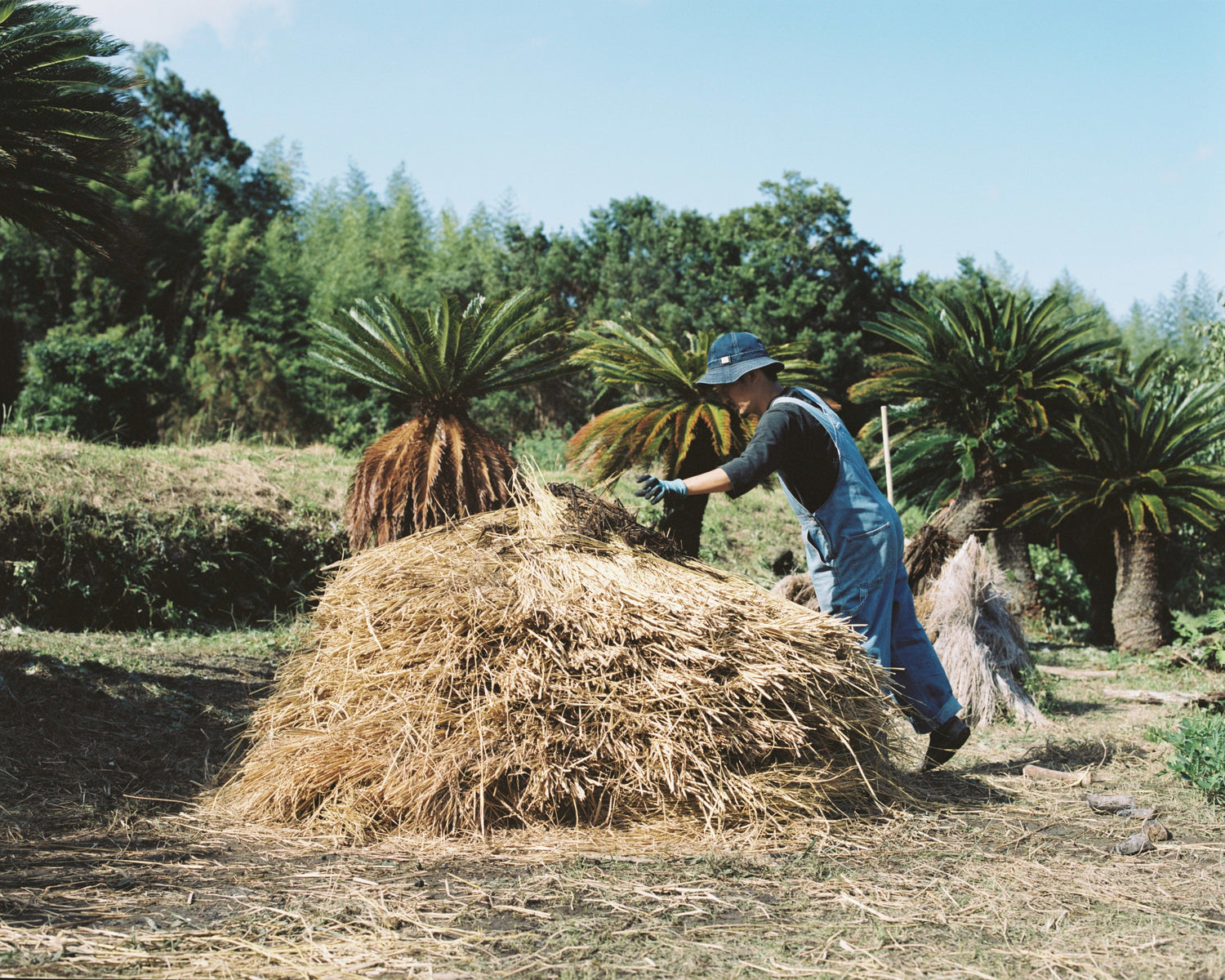 コズミックリチュアルセット2025  西山光太コラボ
