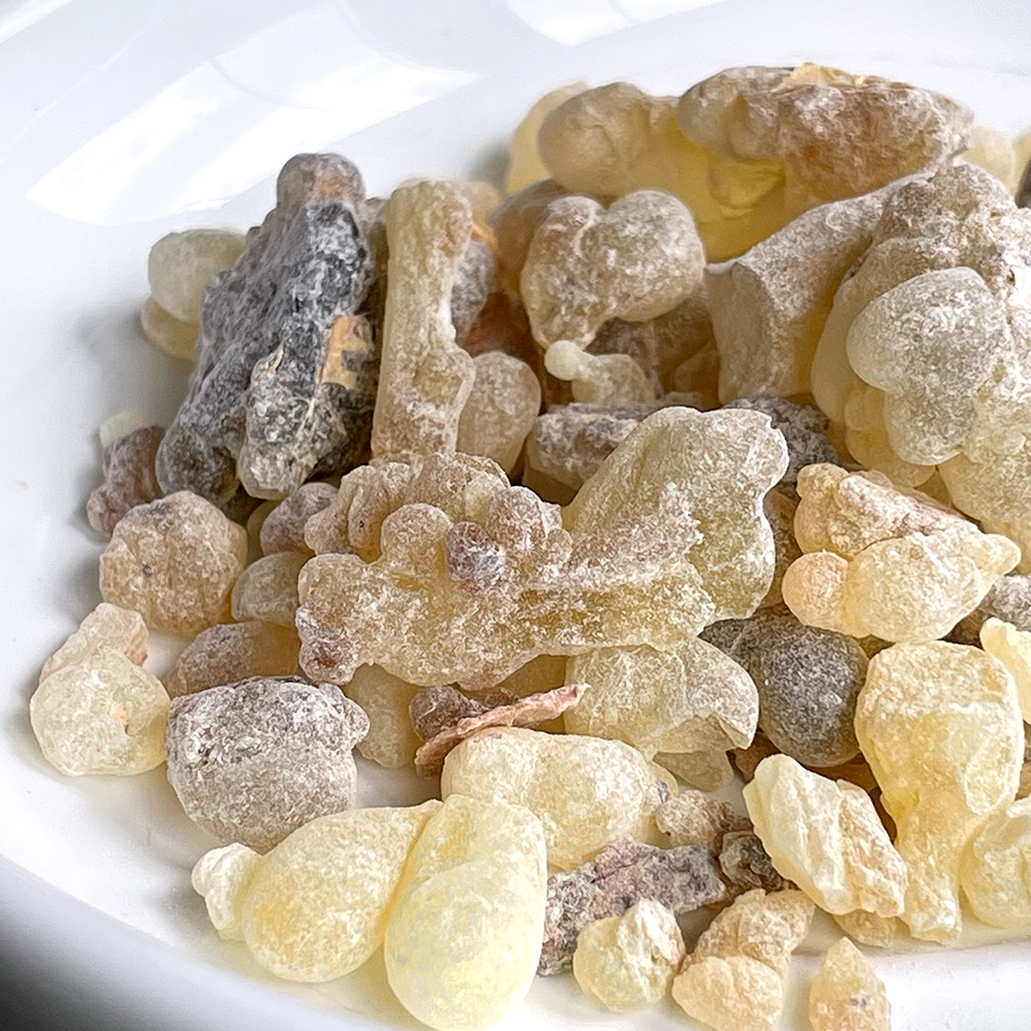 Organic Frankincense (Boswellia rivae) from Ethiopia