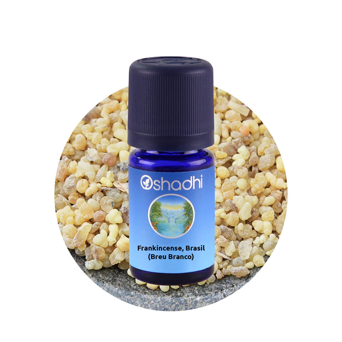 フランキンセンス ブラジル ワイルド エッセンシャルオイル - Frankincense, Brazil (Breu Branco) Oshadhi - オシャディ