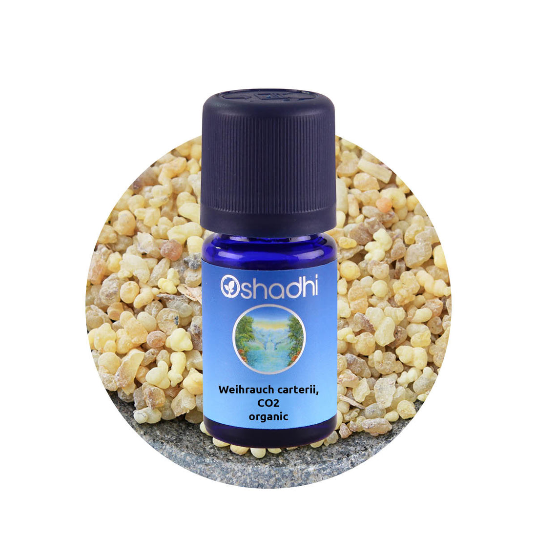 フランキンセンス CO2 オーガニック エッセンシャルオイル - Frankincense (CO2-Extract), carterii organic Oshadhi - オシャディ