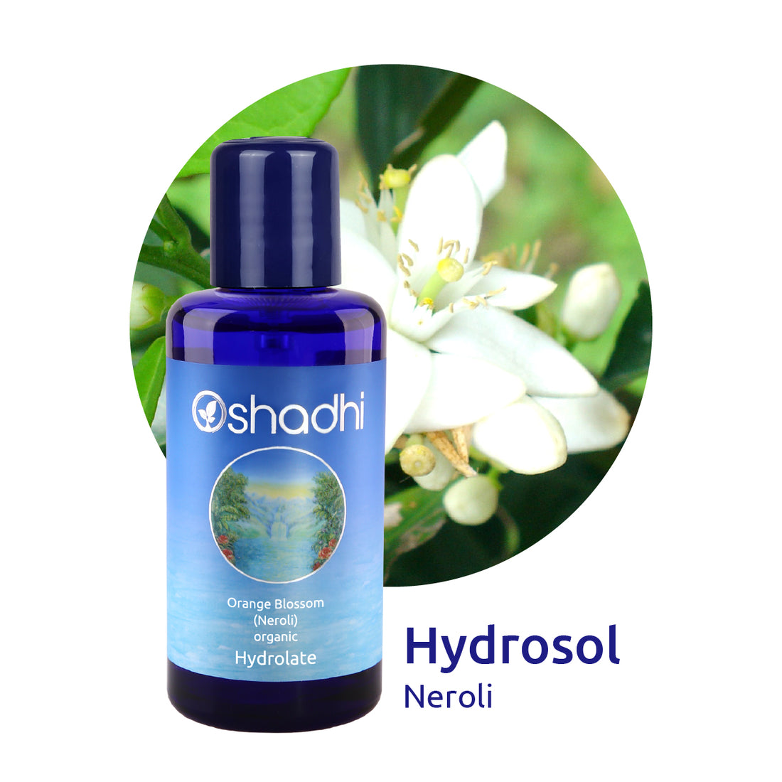 ネロリ オーガニック ハイドロソル - Orange Blossom (Neroli) organic Oshadhi - オシャディ