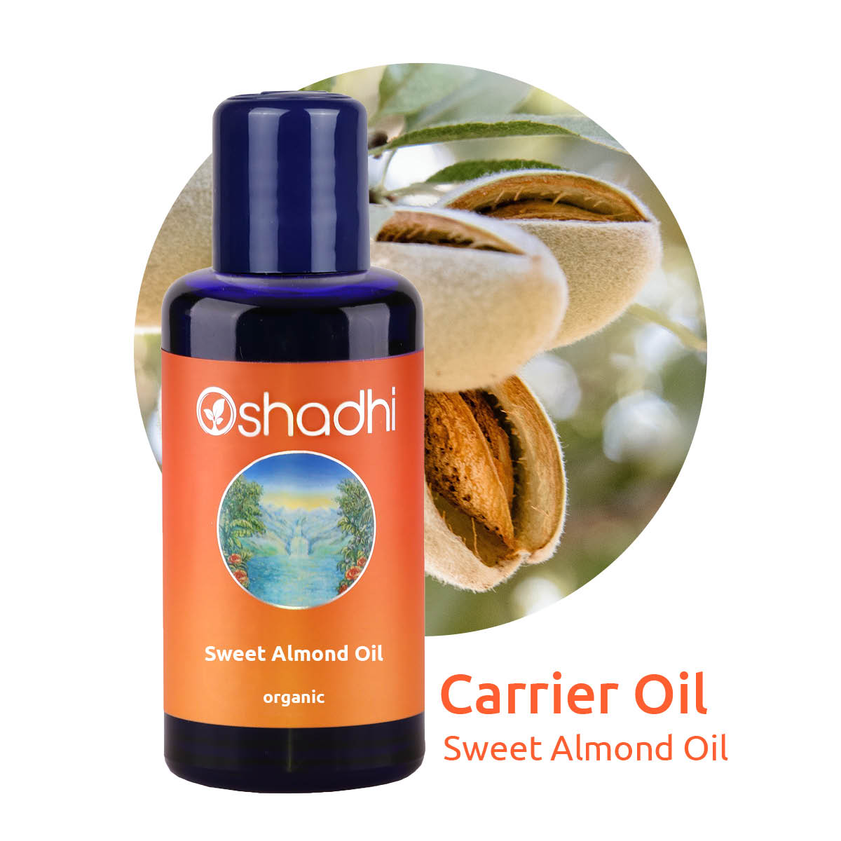 スウィートアーモンドオイル オーガニック キャリアオイル - Sweet Almond Oil organic Oshadhi - オシャディ