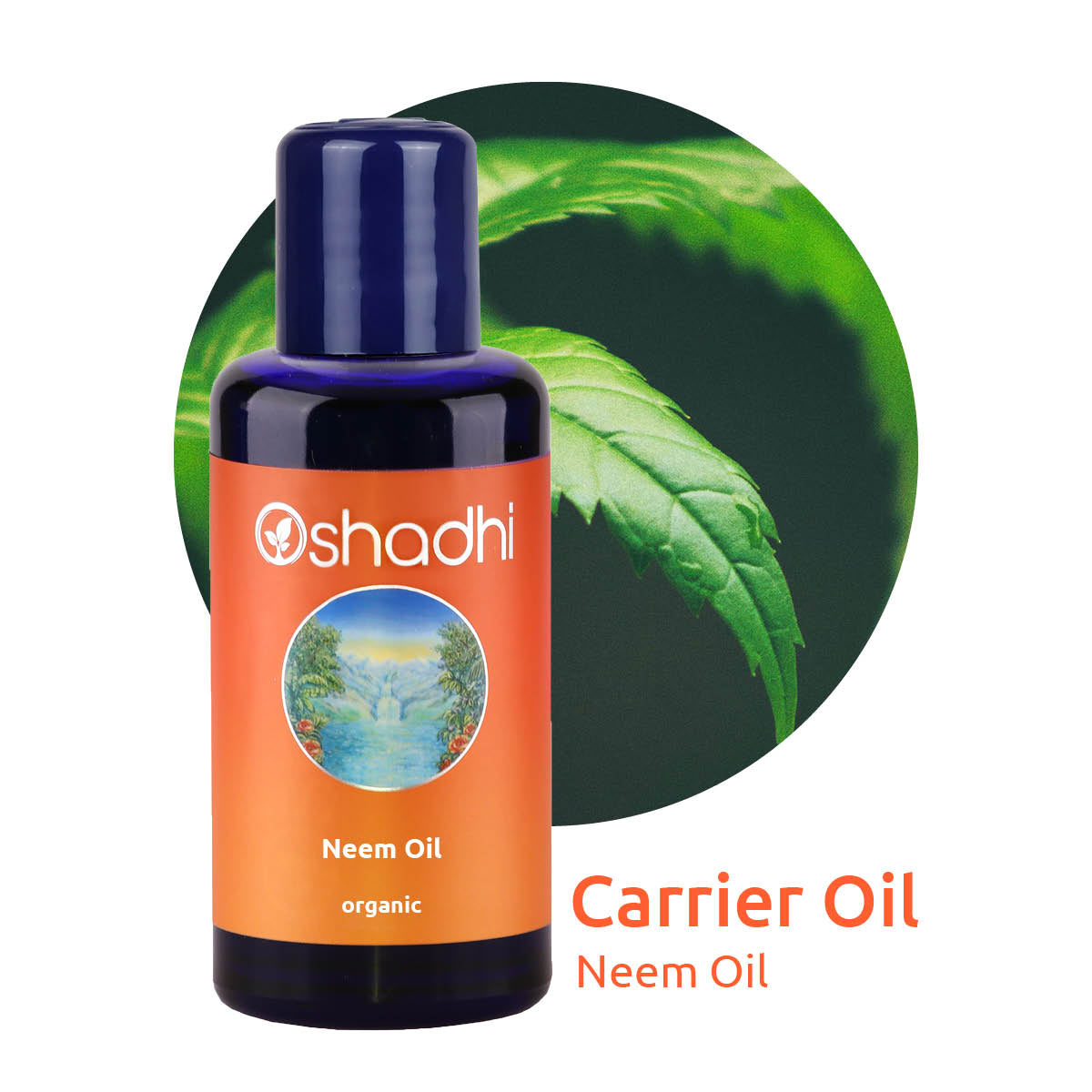 ニームオイル オーガニック キャリアオイル - Neem Oil organic Oshadhi - オシャディ